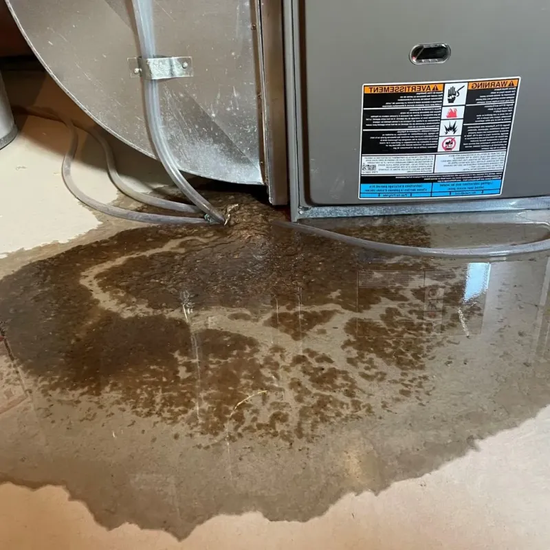 Pipe Burst and Leak Restoration in Fountain Hill, PA