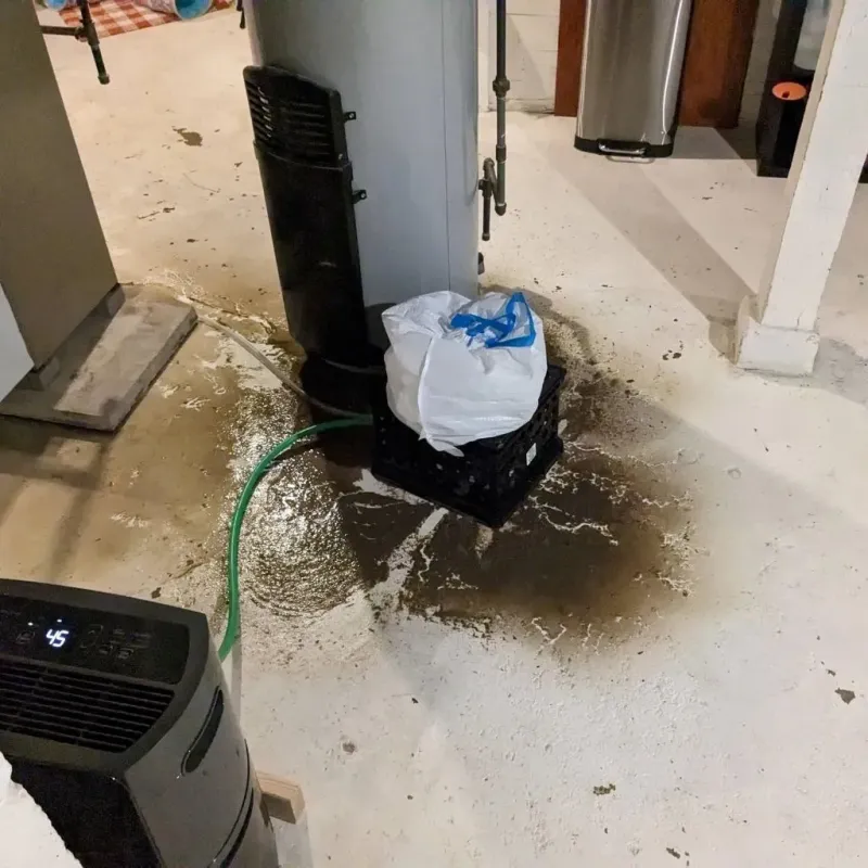 Sewage Backup Cleanup Service in Fountain Hill, PA